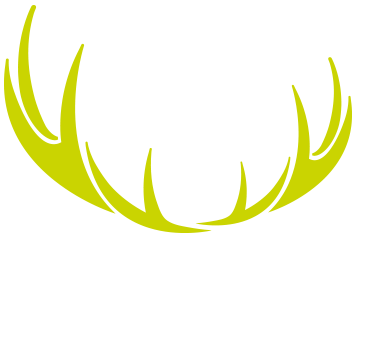 Desolve Concealment Ltd